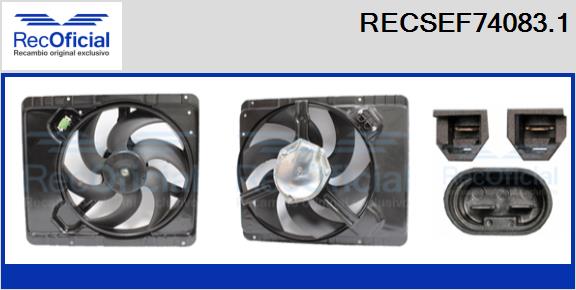 RECSEF74083.1