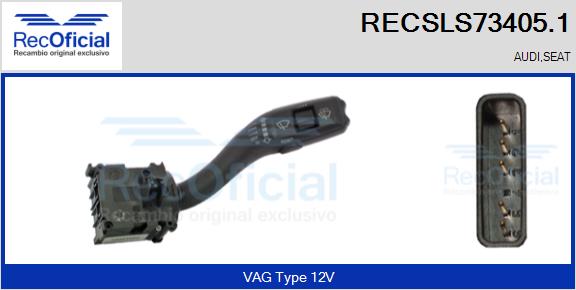RECSLS73405.1