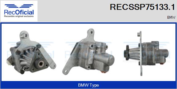 RECSSP75133.1