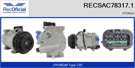 RECSAC78317.1