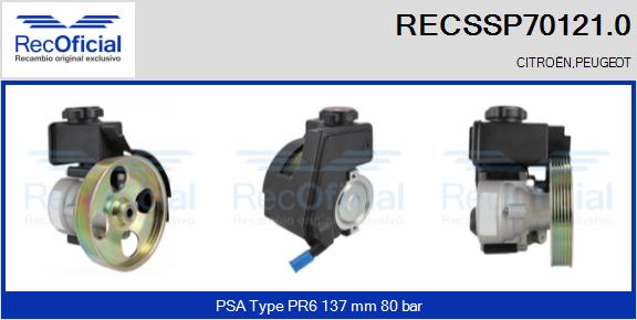 RECSSP70121.0