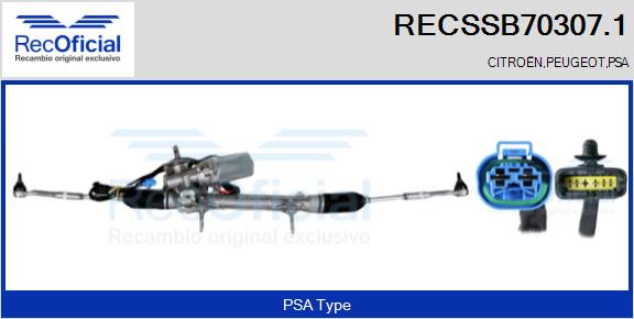 RECSSB70307.1