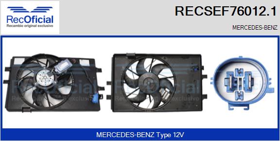 RECSEF76012.1