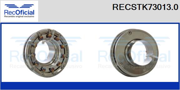 RECSTK73013.0