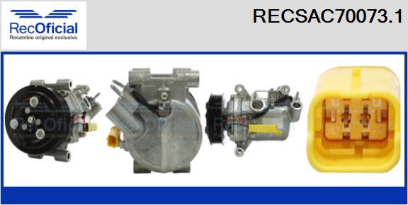RECSAC70073.1
