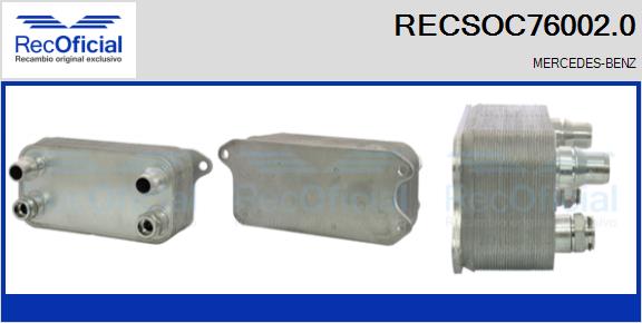 RECSOC76002.0