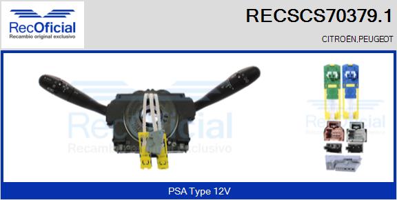 RECSCS70379.1