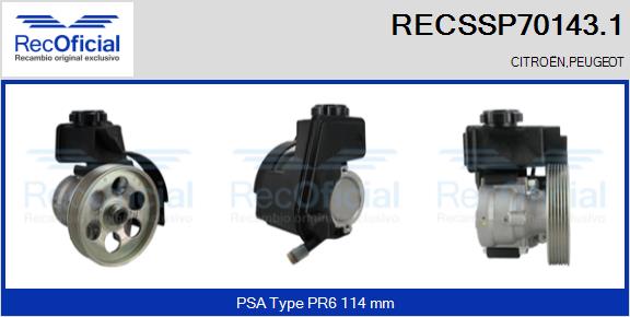 RECSSP70143.1