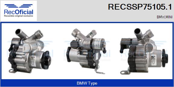 RECSSP75105.1