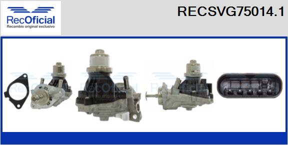 RECSVG75014.1