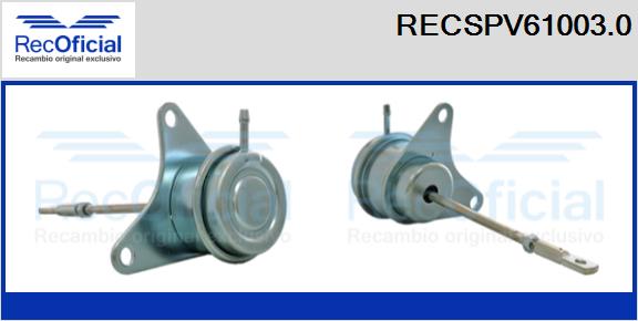 RECSPV61003.0