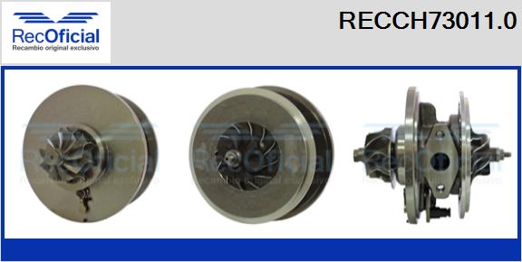 RECCH73011.0