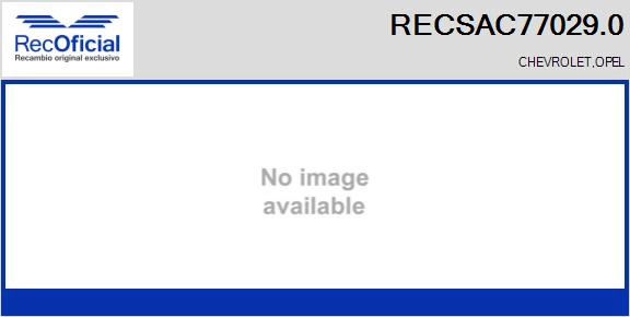 RECSAC77029.0