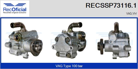 RECSSP73116.1