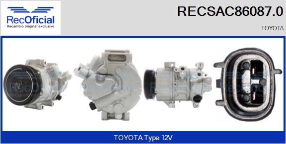 RECSAC86087.0