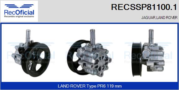 RECSSP81100.1