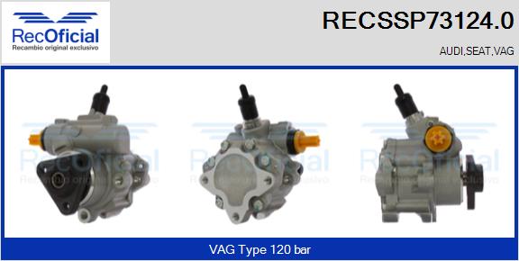 RECSSP73124.0