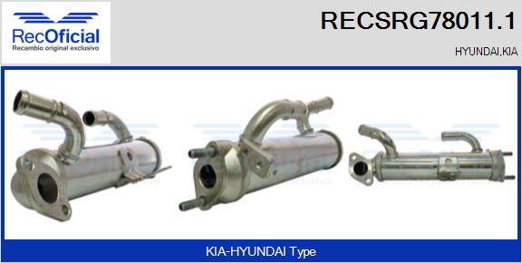 RECSRG78011.1