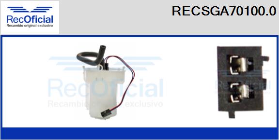 RECSGA70100.0