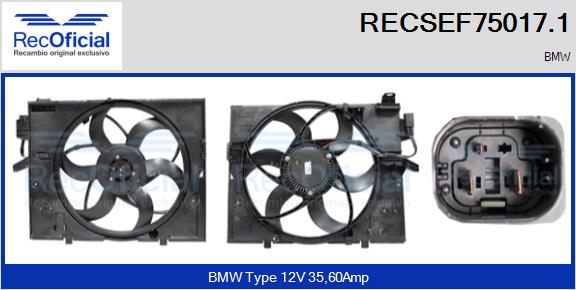 RECSEF75017.1