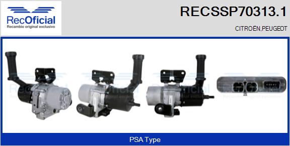 RECSSP70313.1