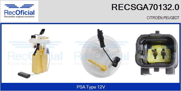 RECSGA70132.0