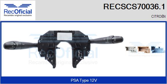 RECSCS70036.1