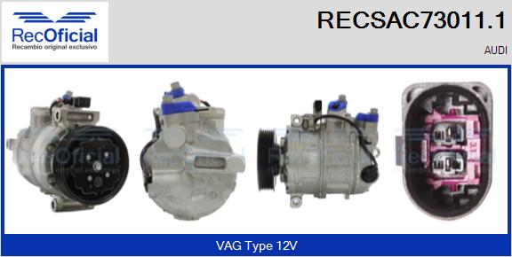 RECSAC73011.1