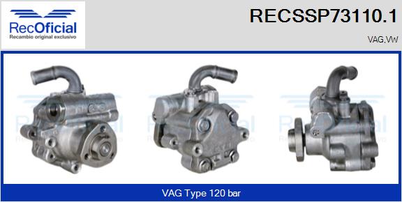 RECSSP73110.1