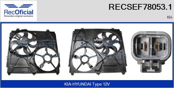 RECSEF78053.1