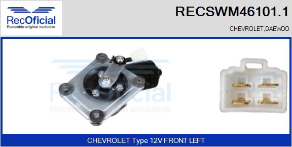 RECSWM46101.1