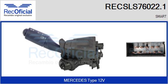 RECSLS76022.1