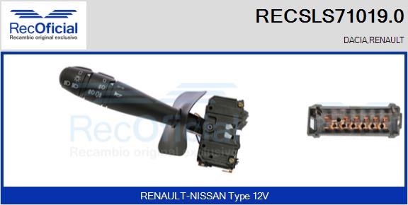 RECSLS71019.0