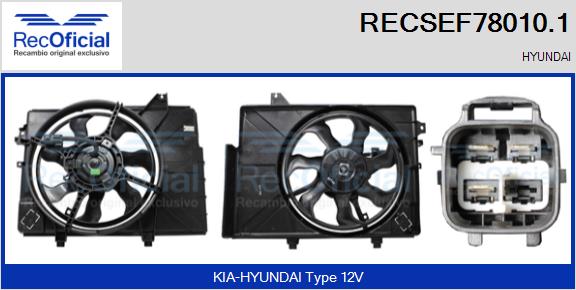 RECSEF78010.1