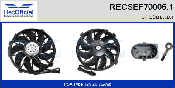 RECSEF70006.1