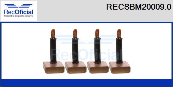 RECSBM20009.0