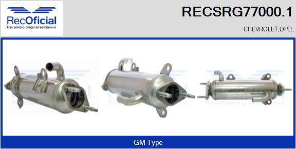 RECSRG77000.1