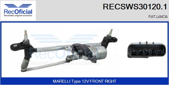 RECSWS30120.1