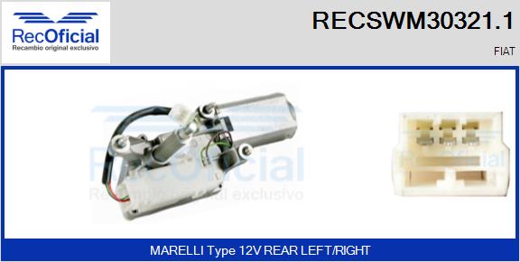 RECSWM30321.1