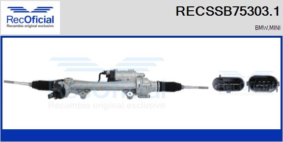 RECSSB75303.1