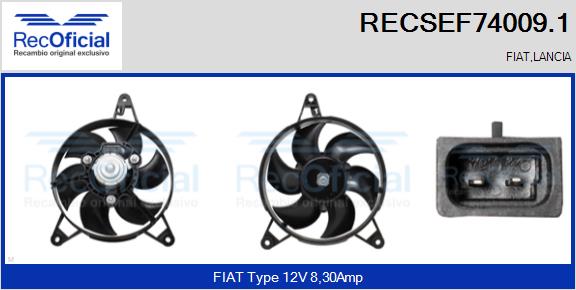 RECSEF74009.1