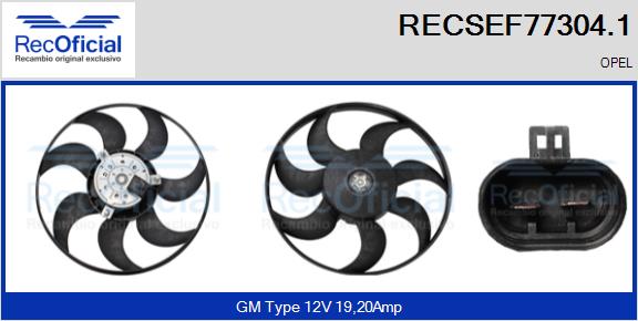 RECSEF77304.1