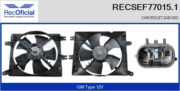RECSEF77015.1
