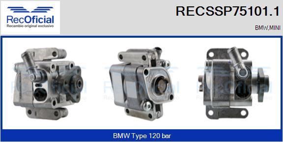 RECSSP75101.1