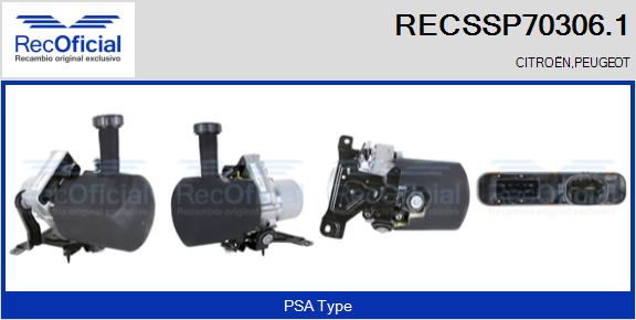 RECSSP70306.1