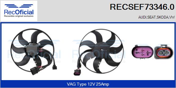 RECSEF73346.0