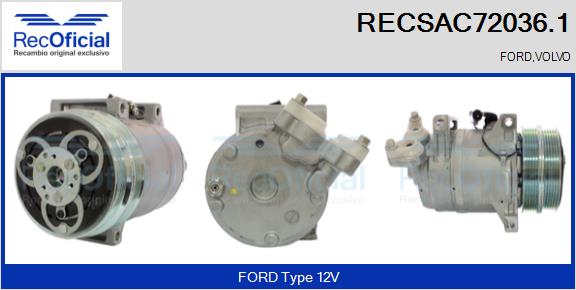 RECSAC72036.1