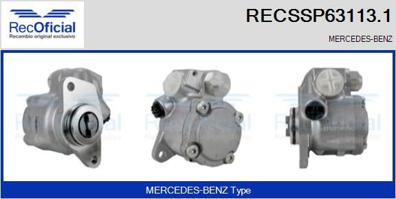 RECSSP63113.1