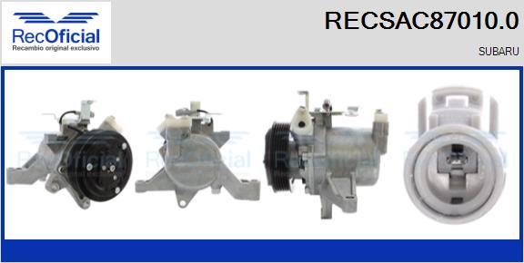 RECSAC87010.0