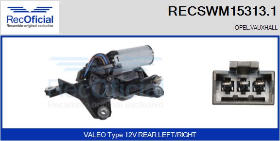 RECSWM15313.1